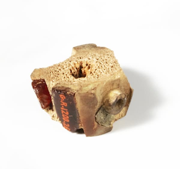 Bone and amber segment from a bronze fibula (safety pin)