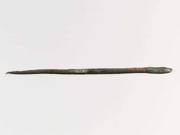 Needle