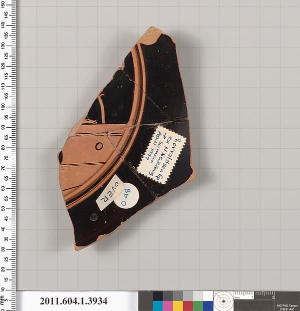Terracotta fragment of a kylix (drinking cup), by Thorvaldsen Group