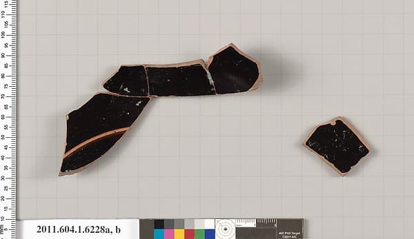 Terracotta fragments of a kylix (drinking cup), by Thorvaldsen Group