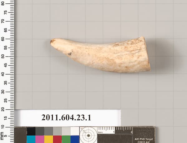 Bone or ivory fragment