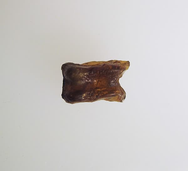 Glass astragal (knucklebone)