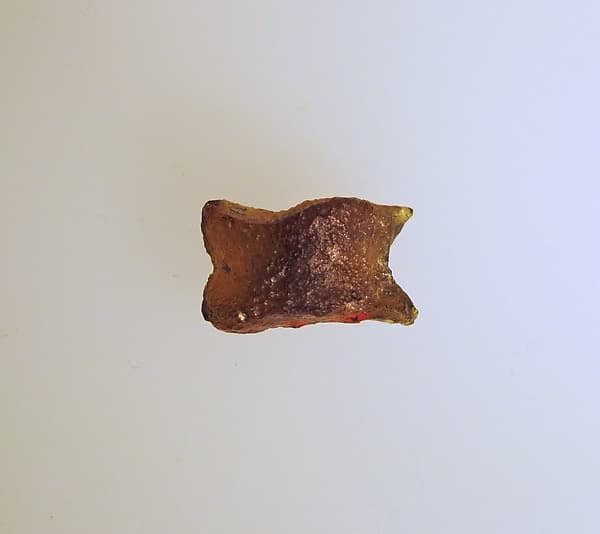 Glass astragal (knucklebone)