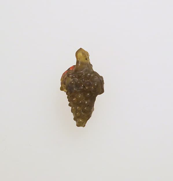 Glass pendant in the form of a bunch of grapes