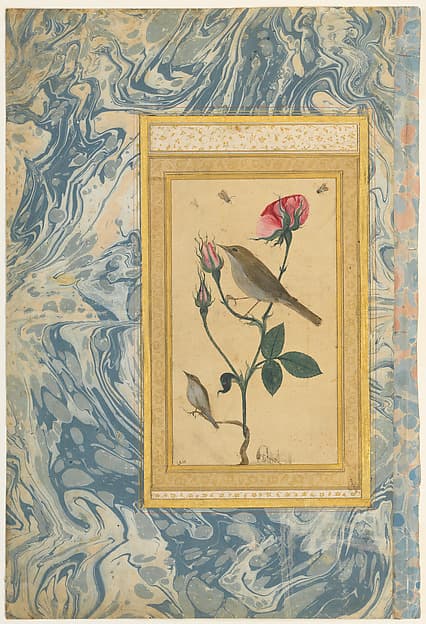 "Two Nightingales in a Rose Bush", Double-Sided Illustrated Leaf from an Ottoman Album, by 'Abdullah Bukhari