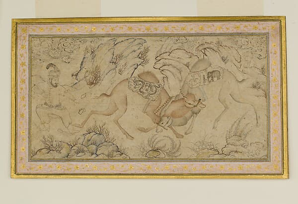 Two Camels Fighting