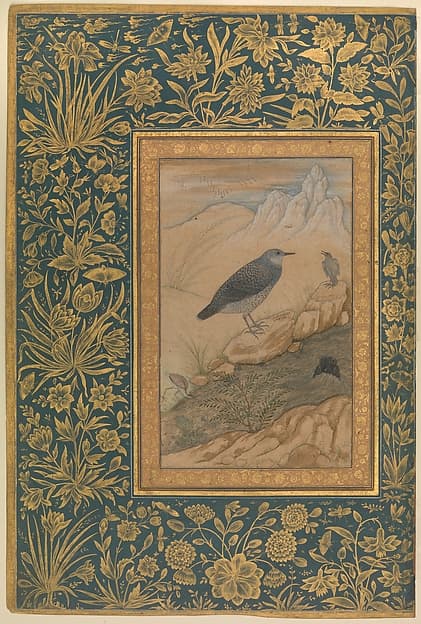 "Diving Dipper and Other Birds", Folio from the Shah Jahan Album, by Mansur