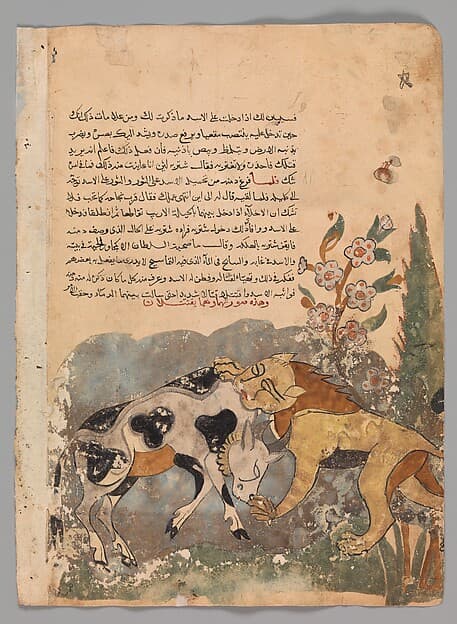 Folio from a Kalila wa Dimna