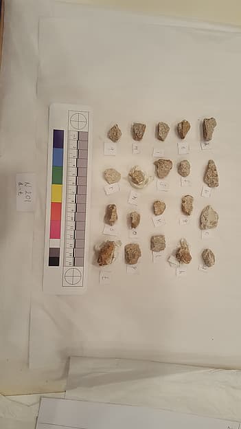 Stucco Fragment