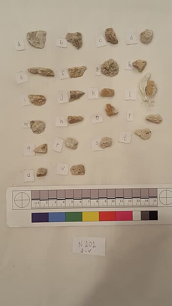 Stucco Fragment