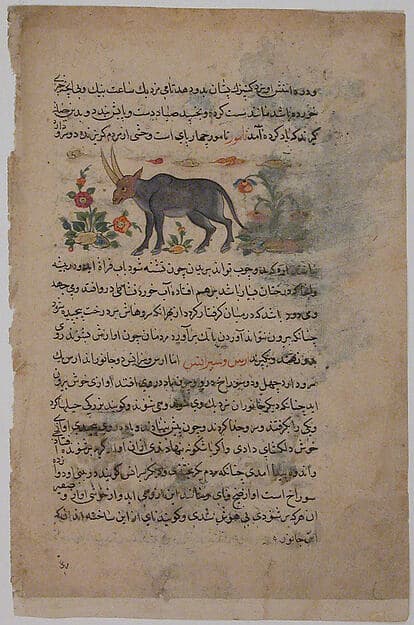 "Steinbok", Folio from a Dispersed Nuzhatnama-i ‘A’a’i of Shahmardan ibn Abi’l Khayr, by Shamardan ibn Abi 'l Khayr