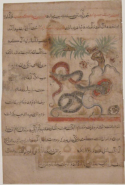 "Pair of Serpents", Folio from a Manafi' al-Hayawan (On the Usefulness of Animals) of Ibn Bakhtishu', by Ibn Bakhtishu'
