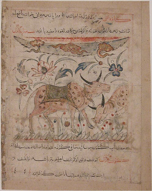 "Oxen amongst Foliage", Folio from a Manafi' al-Hayawan (On the Usefulness of Animals) of Ibn Bakhtishu', by Ibn Bakhtishu'