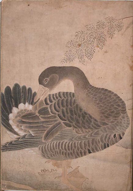 "Goose Preening its Tail," Folio from the Bellini Album