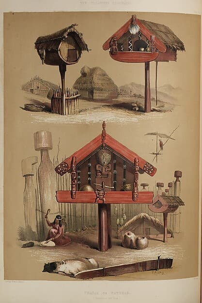 The New Zealanders, by George French Angas
