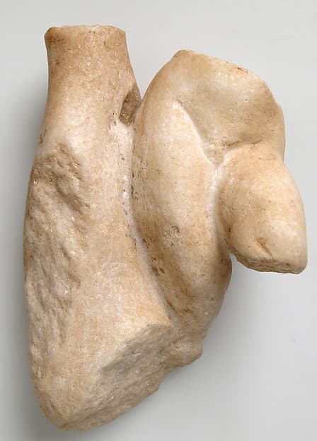 Fragment of a Male Torso with a Tree Trunk