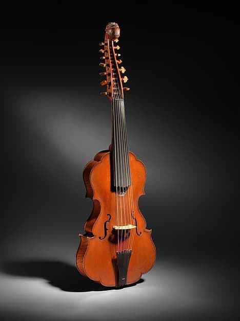 Viola d'Amore, by Johannes Florenus Guidantus