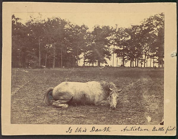 Is This Death - Antietam Battlefield, September 1862, by Alexander Gardner