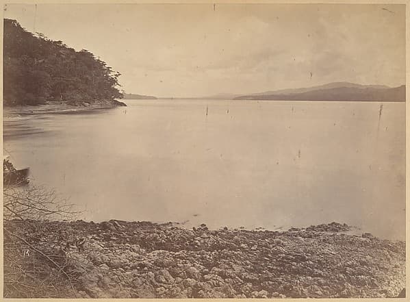 Tropical Scenery, Darien Harbor - Looking South, by John Moran