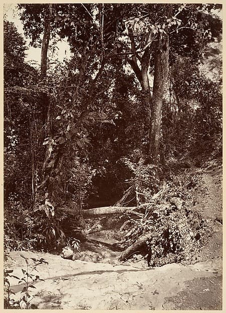 Tropical Scenery, The Brook El Bano, Chipigana, by John Moran