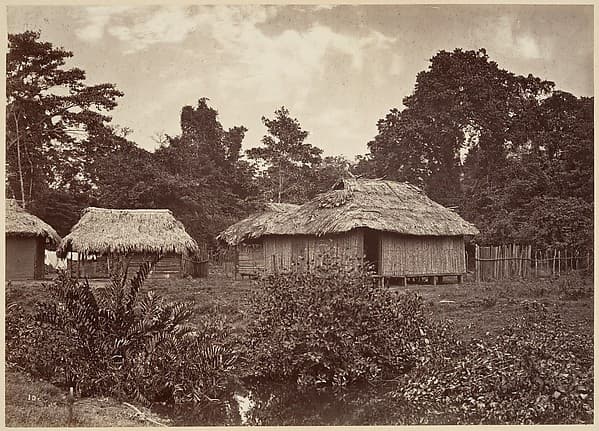 Tropical Scenery, Turbo Village, by John Moran