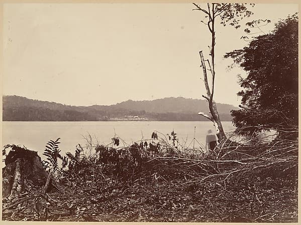 Tropical Scenery, Darien Harbor, Chipigana, by John Moran