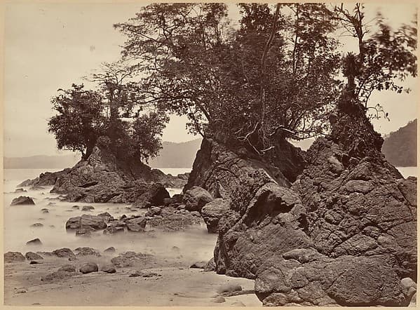 Tropical Scenery, Limon Bay - Low Tide, by John Moran