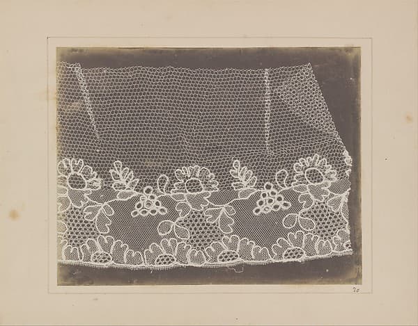 Lace, by William Henry Fox Talbot