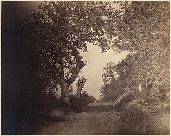 Fontainebleau, chemin sablonneux montant, by Gustave Le Gray