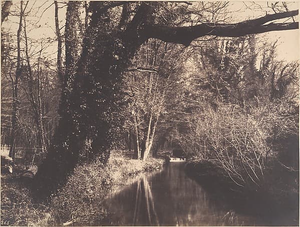 Parc de Courances, by Eugène Cuvelier