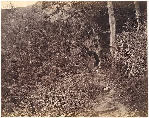 Left Road up to Yuen foo Monastery, by Lai Afong