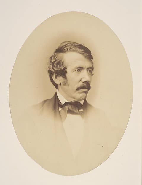 Dr. Livingstone, by John Jabez Edwin Mayall