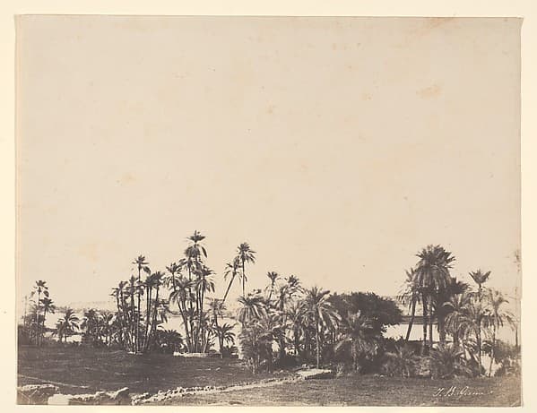 Etude de Palmiers, Bords du Nil, Kalabschi, by John Beasley Greene