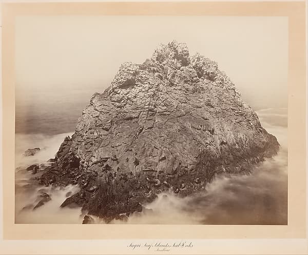 Sugar Loaf Islands, Farallons, by Carleton E. Watkins