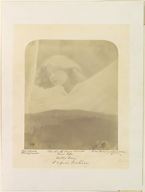 The South West Wind, by Julia Margaret Cameron