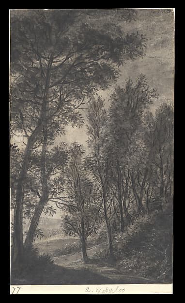 Wooded Landscape, by Anthonie Waterloo